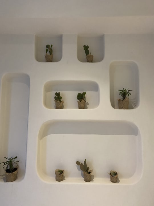 Sonstiges SUNRISE Anjum Resort Marsa Alam