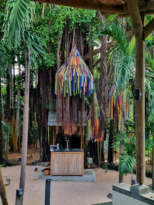 Gartenanlage Lagoon Attitude - Adults only