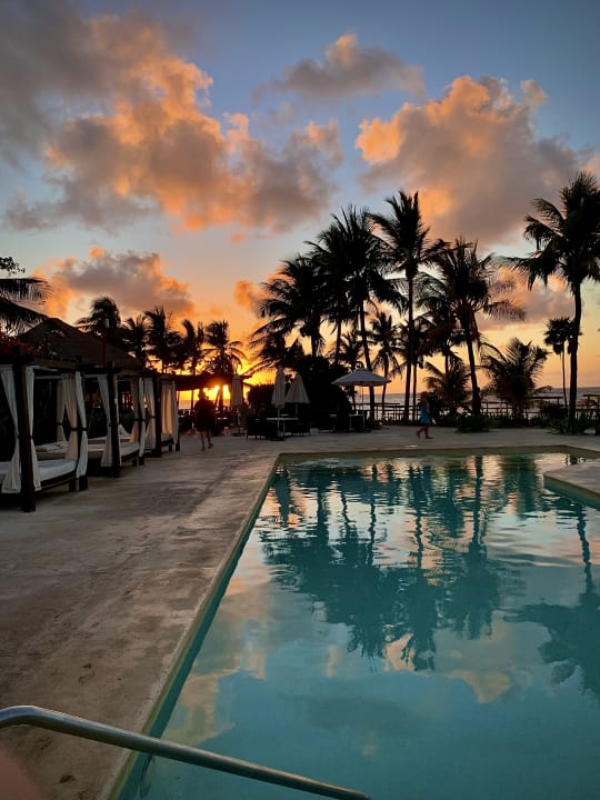 Pool Akumal Bay Beach & Wellness Resort