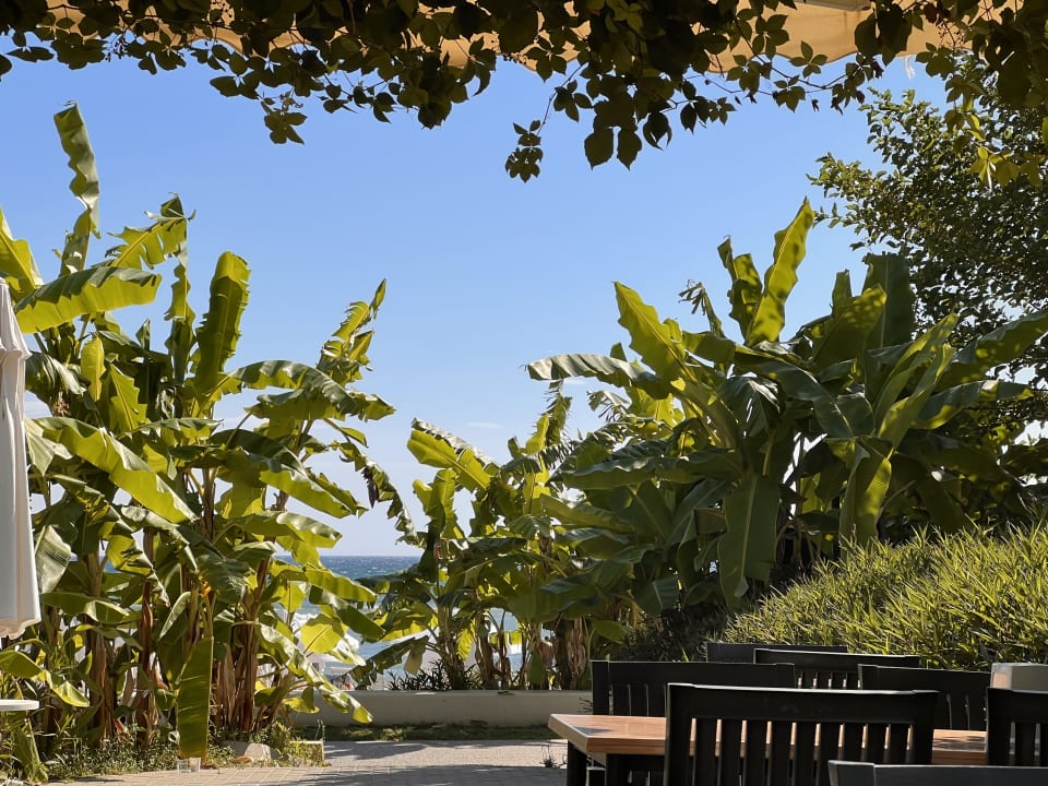 Gartenanlage Merve Sun Hotel & Spa