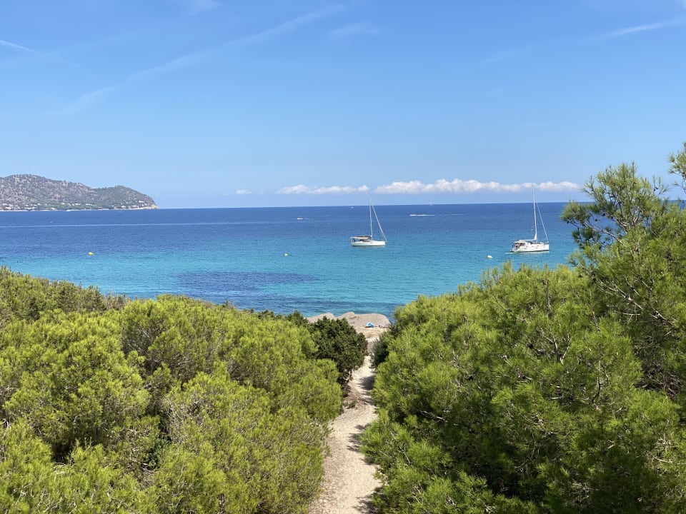Ausblick Hipotels Bahía Cala Millor