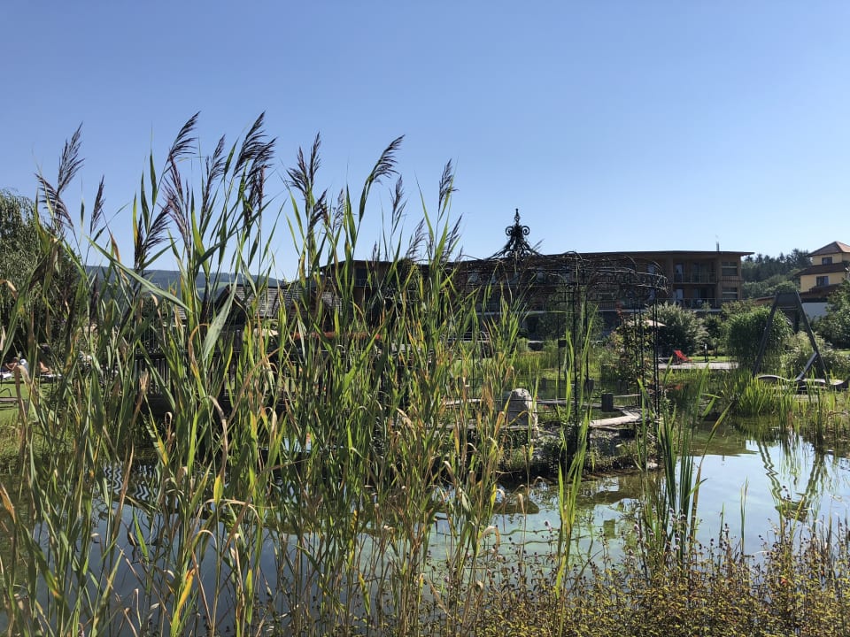 Gartenanlage Naturhotel Molzbachhof