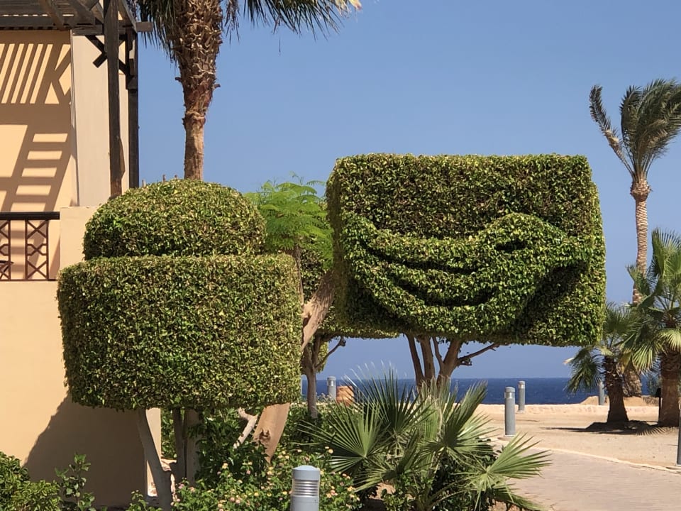 Gartenanlage Steigenberger Coraya Beach - Adults only