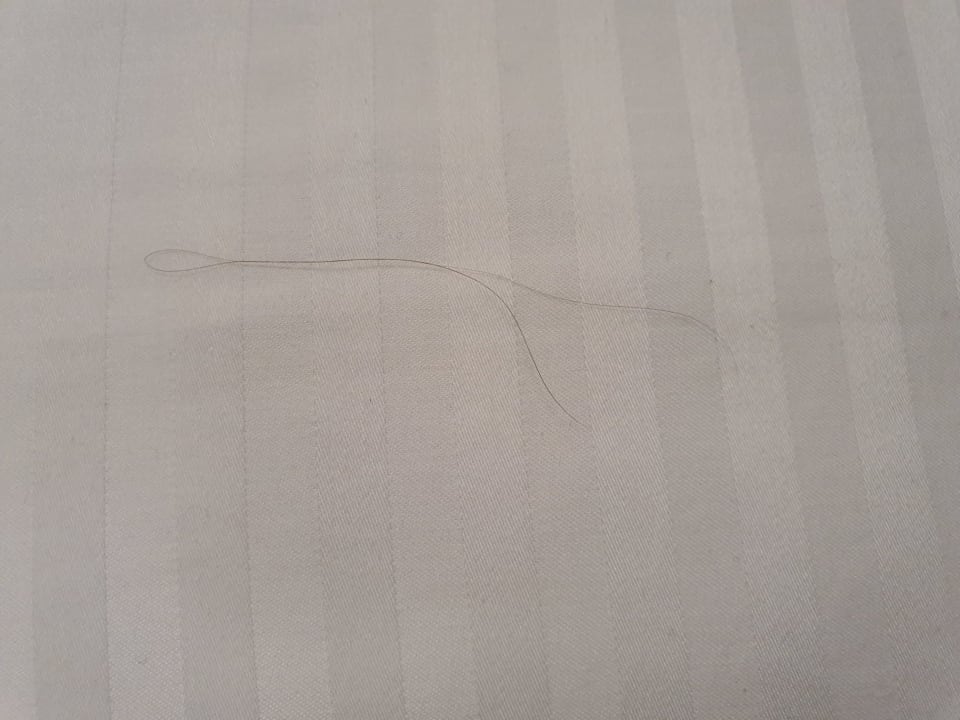 Zimmer Hotel Viva Dominicus Beach by Wyndham - All Inclusive Resort