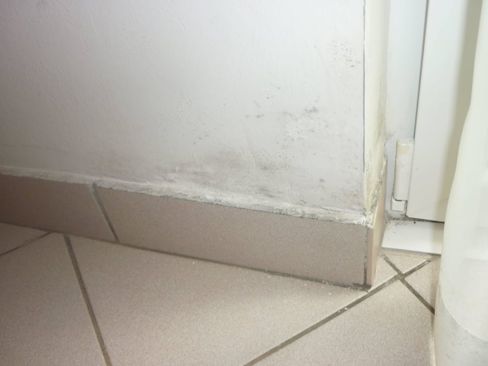 Schimmel im Wohnzimmer Apartments Katoro Plava Laguna