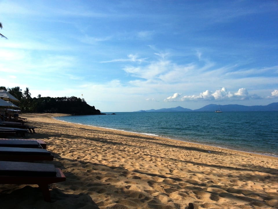 Links Richtung Pinnacle und Black Rose  Coco Palm Beach Resort