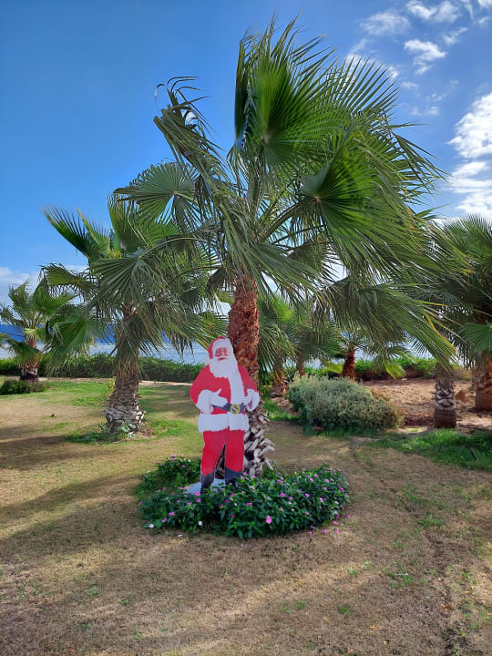 Gartenanlage Three Corners Equinox Beach Resort