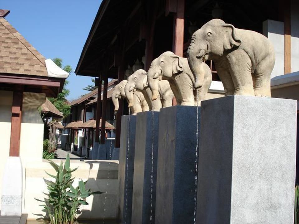 In der Gartenanalge Pavilion Samui Villas & Resort