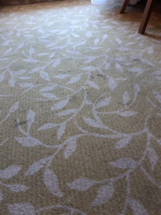 Zimmer Hotel Zdrojowy Sanus