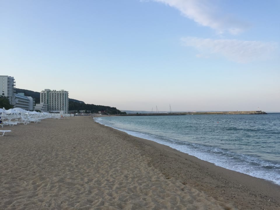 Strand Sentido Marea