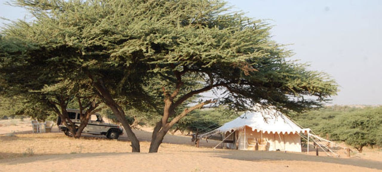 Exclusive Camp Royal Desert Safari Resort