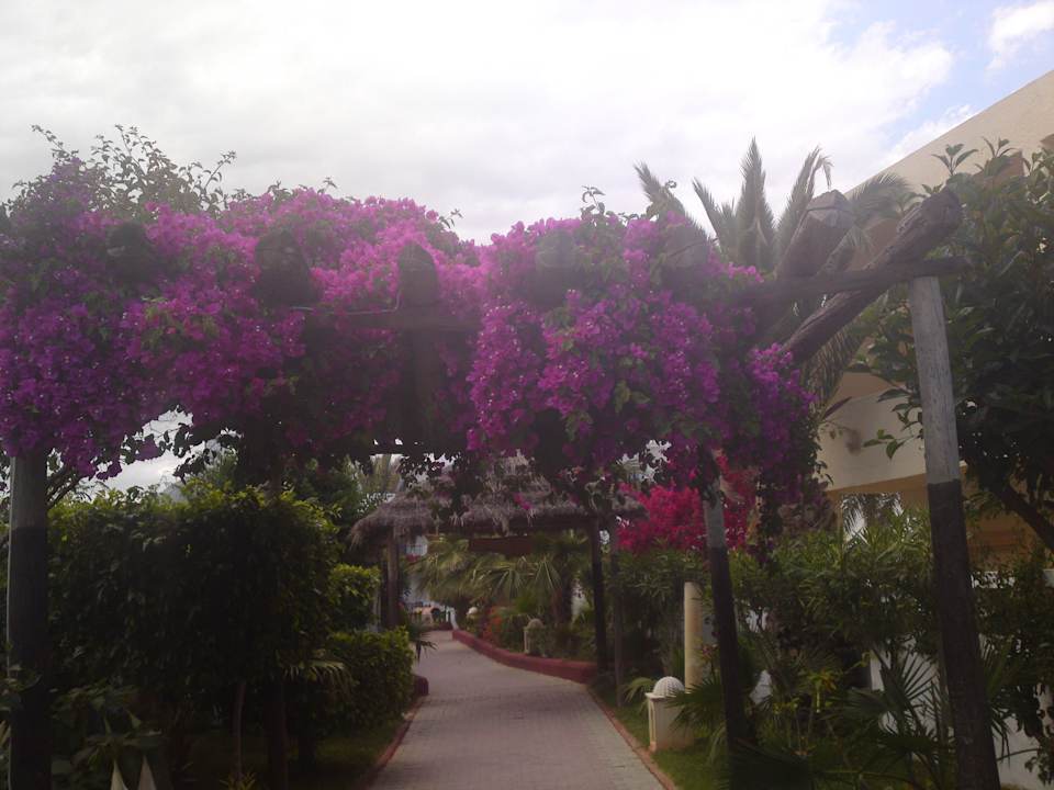 Richtung Strand... Hotel Nesrine