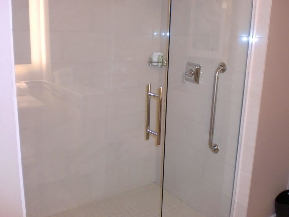 Bad Westin Washington Dulles Airport