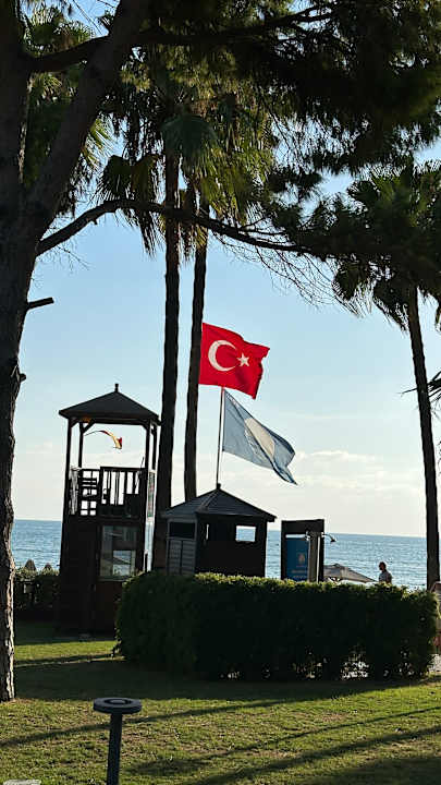 Ausblick Acanthus Cennet Barut Collection
