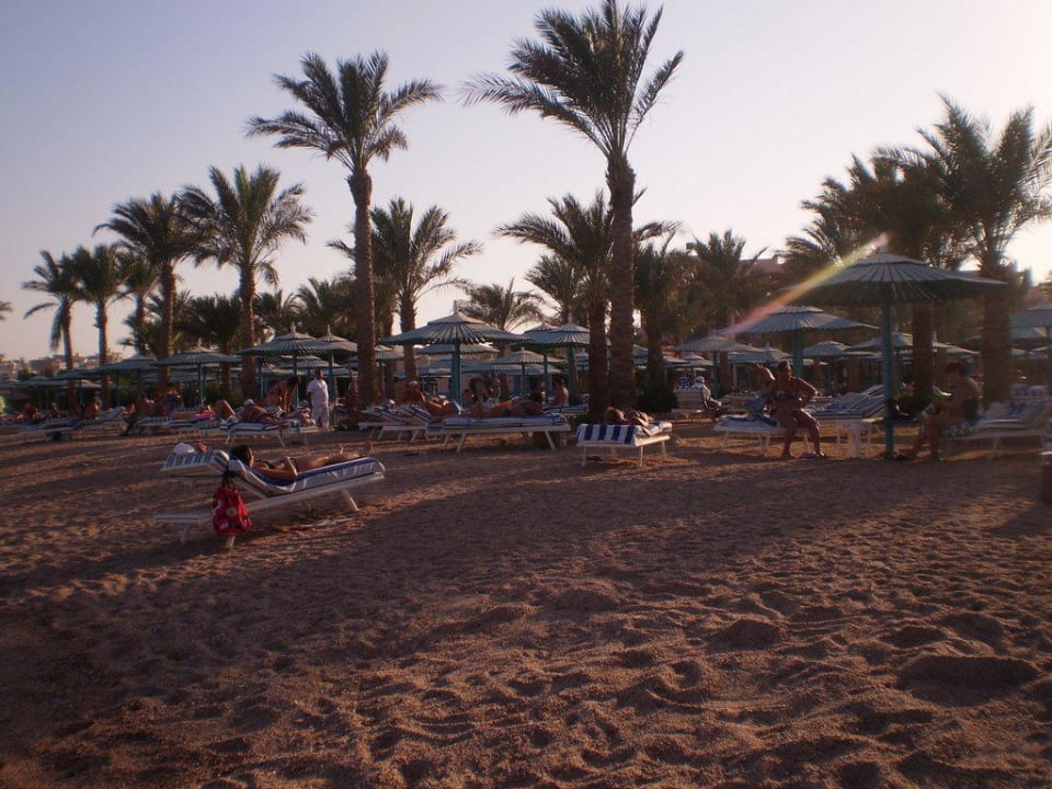 Strand  Hotel Le Pacha Beach Resort