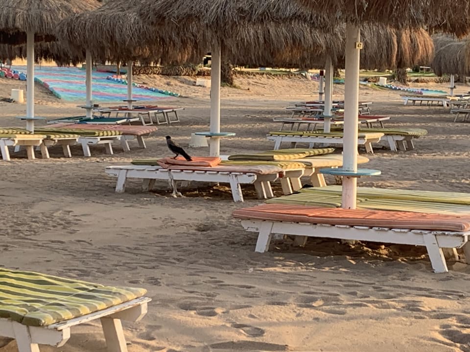 Strand Sentido Caribbean World Soma Bay