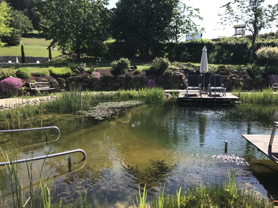 Schwimmteich Hotel Lindenwirt