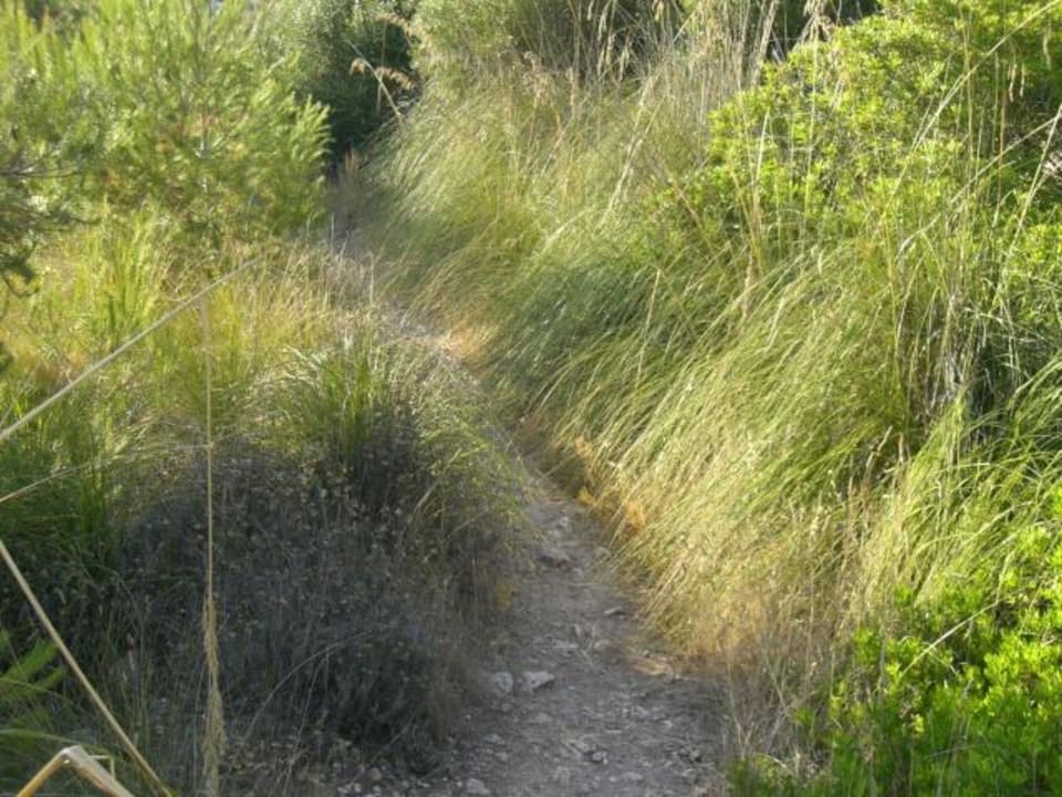 400 m Weg vom Hotel zum Strand HSM Canarios Park