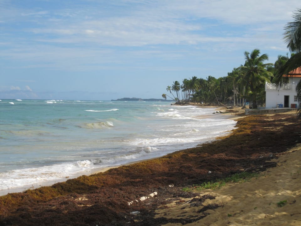 Re vom Sirenis Hotel - unberührte Natur Grand Sirenis Punta Cana Resort & Aquagames