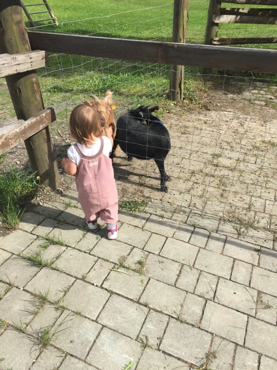 Gartenanlage Hotel Obersinnlehenhof