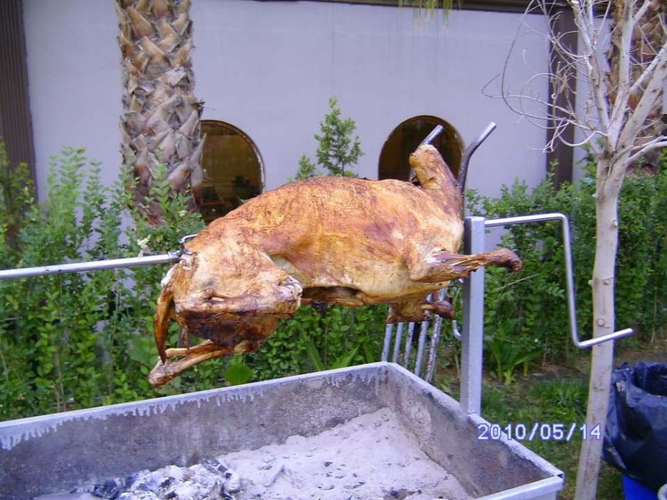 Lamm Hane Family Resort