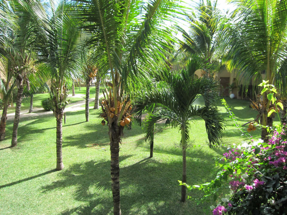 Blick durch den Palmengarten zum Strand Veranda Pointe aux Biches Hotel
