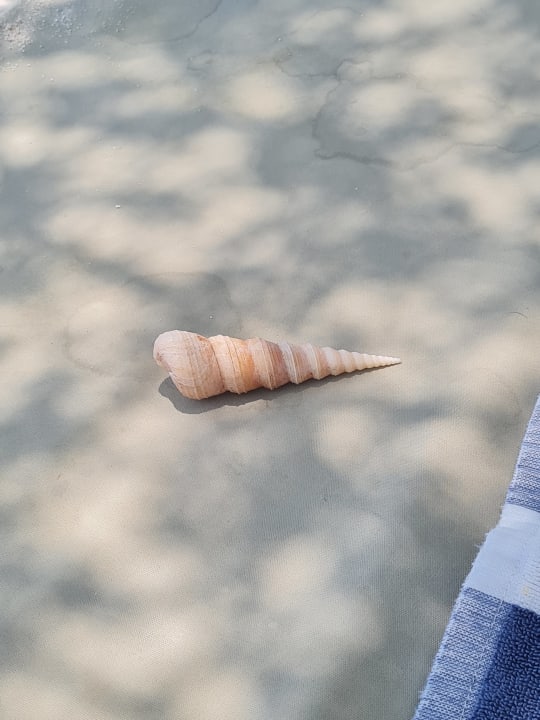 Sonstiges Adaaran Select Hudhuran Fushi - Premium All Inclusive