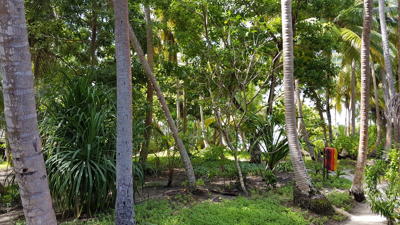 Außenansicht Kuramathi Maldives