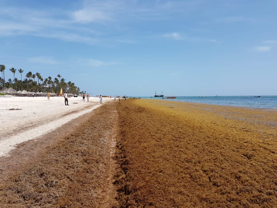 Strand Secrets Royal Beach Punta Cana - Adults only