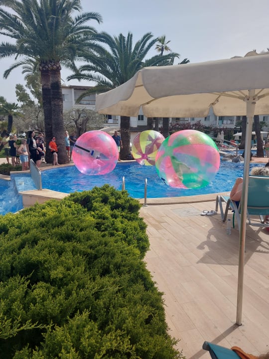 Pool Alcudia Garden Aparthotel