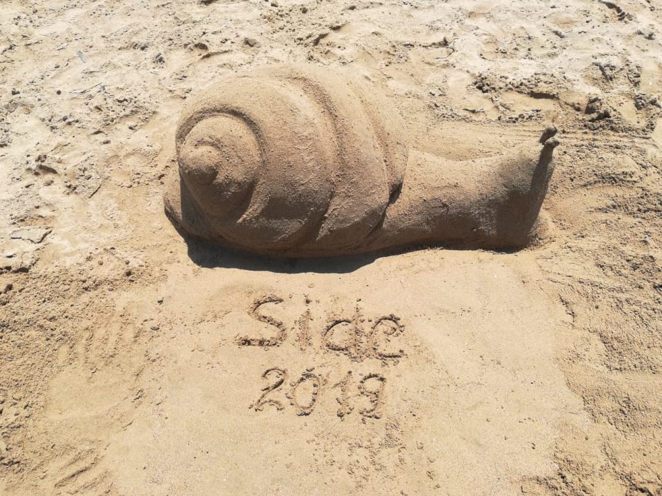 Strand TUI BLUE Xanthe