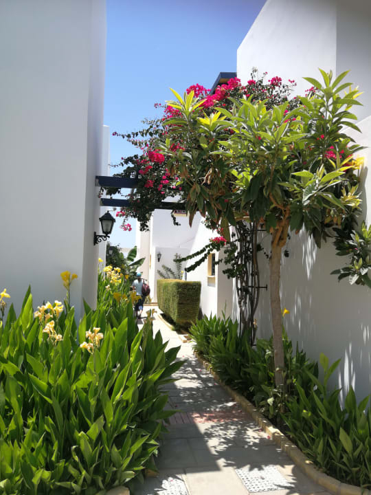 Gartenanlage Kefalos Beach Holiday Village