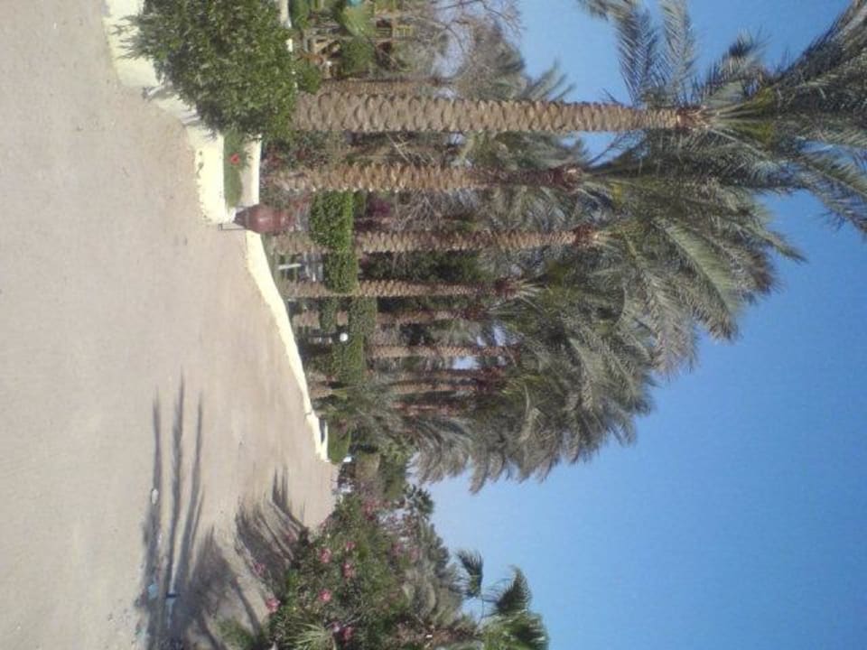 Gartenanlage Giftun Azur Resort
