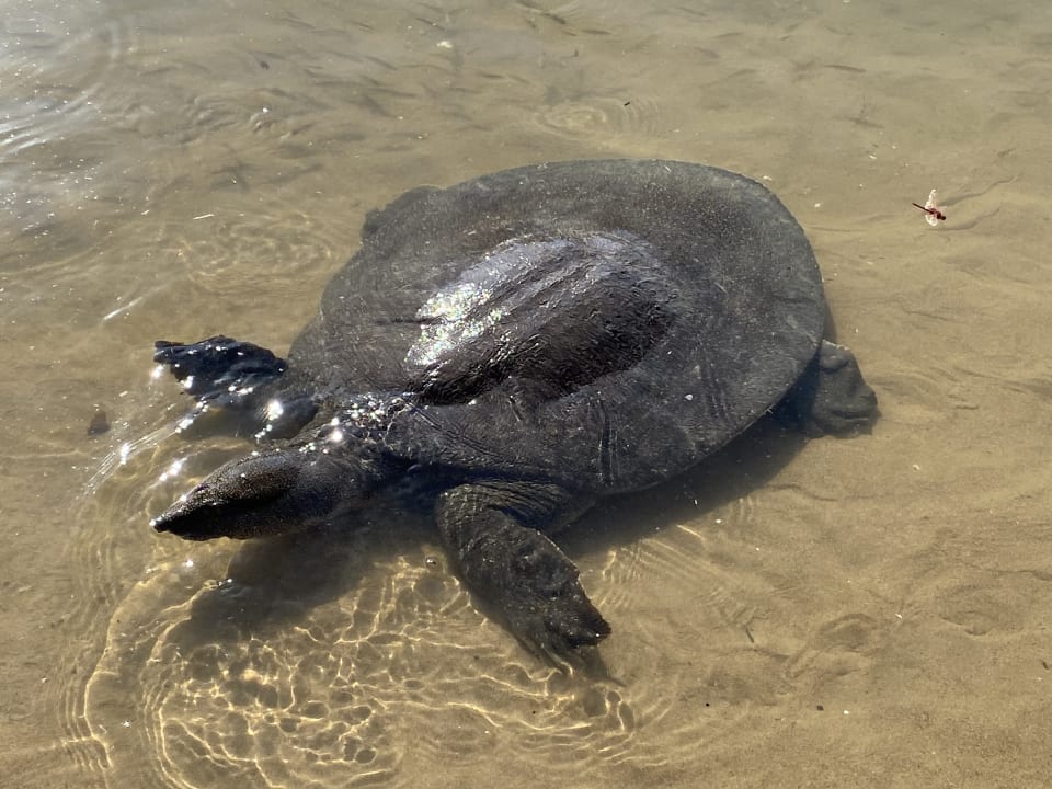 Sonstiges Sunis Kumköy Beach Resort Hotel & Spa