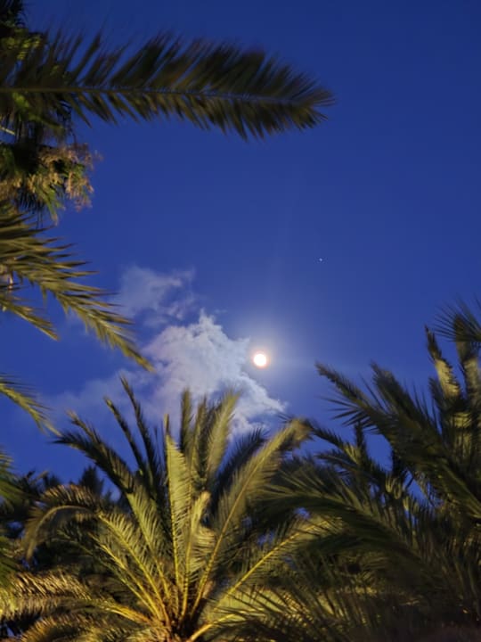 Sonstiges Hotel Riu Palace Oasis