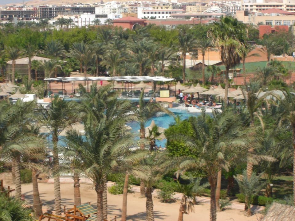 Pool vom Dach des T-Blocks! Giftun Azur Resort