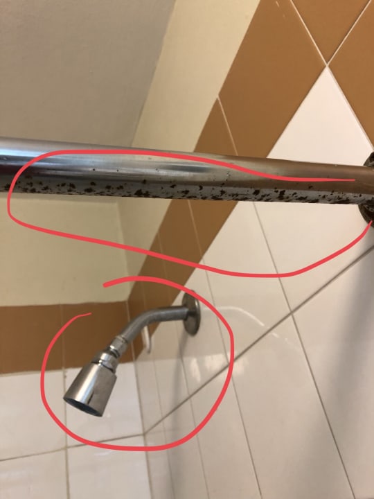 Zimmer Puerto Plata Village