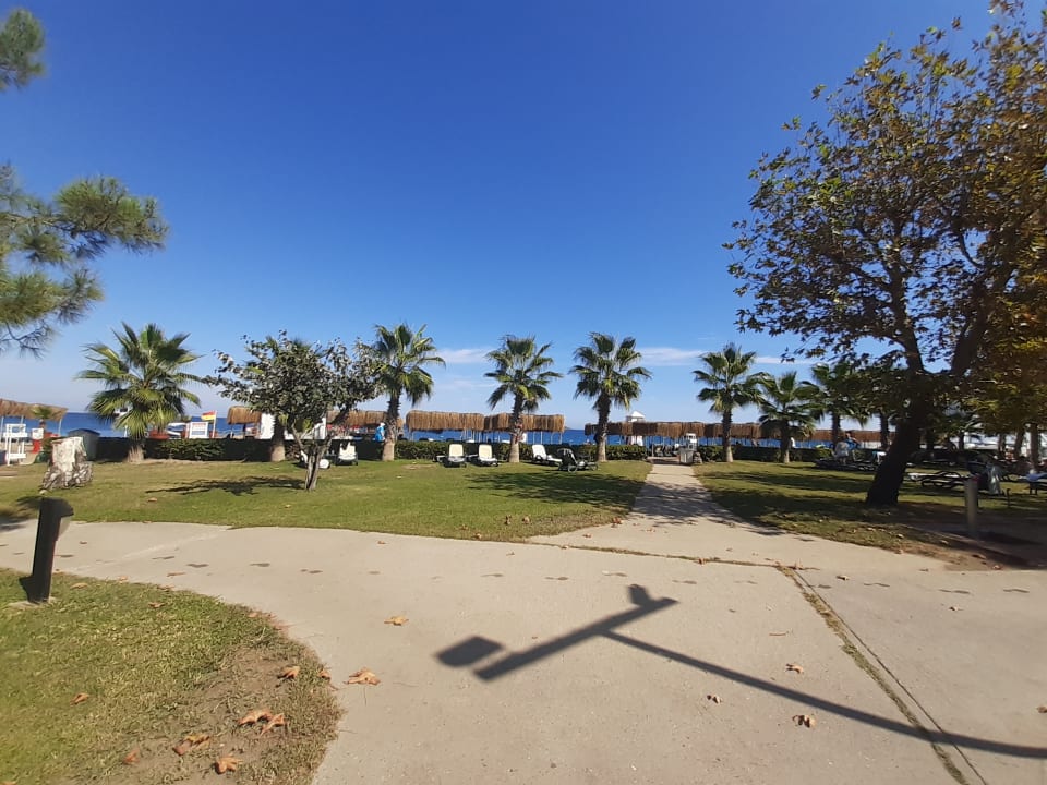 Außenansicht Balmy Foresta