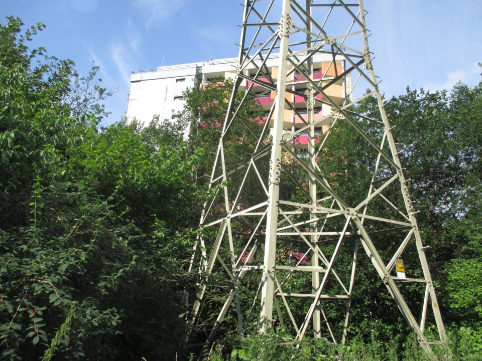 Blick von hinten auf das Hotel Panoramic - Ihr Apartmenthotel im Harz