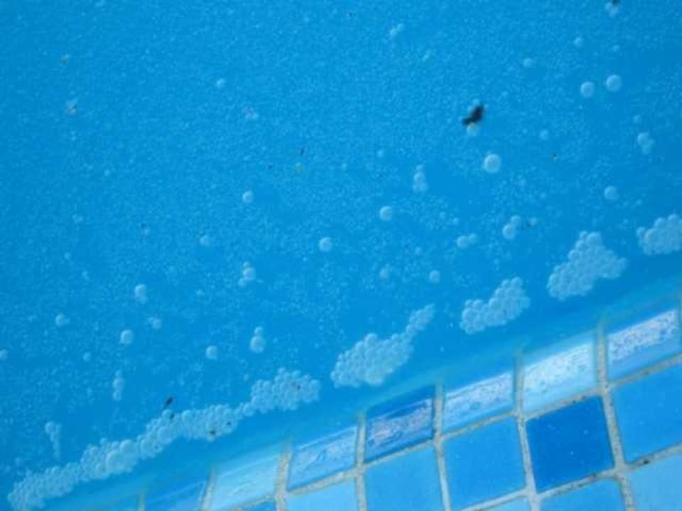 Dreckiger Pool Samira Club