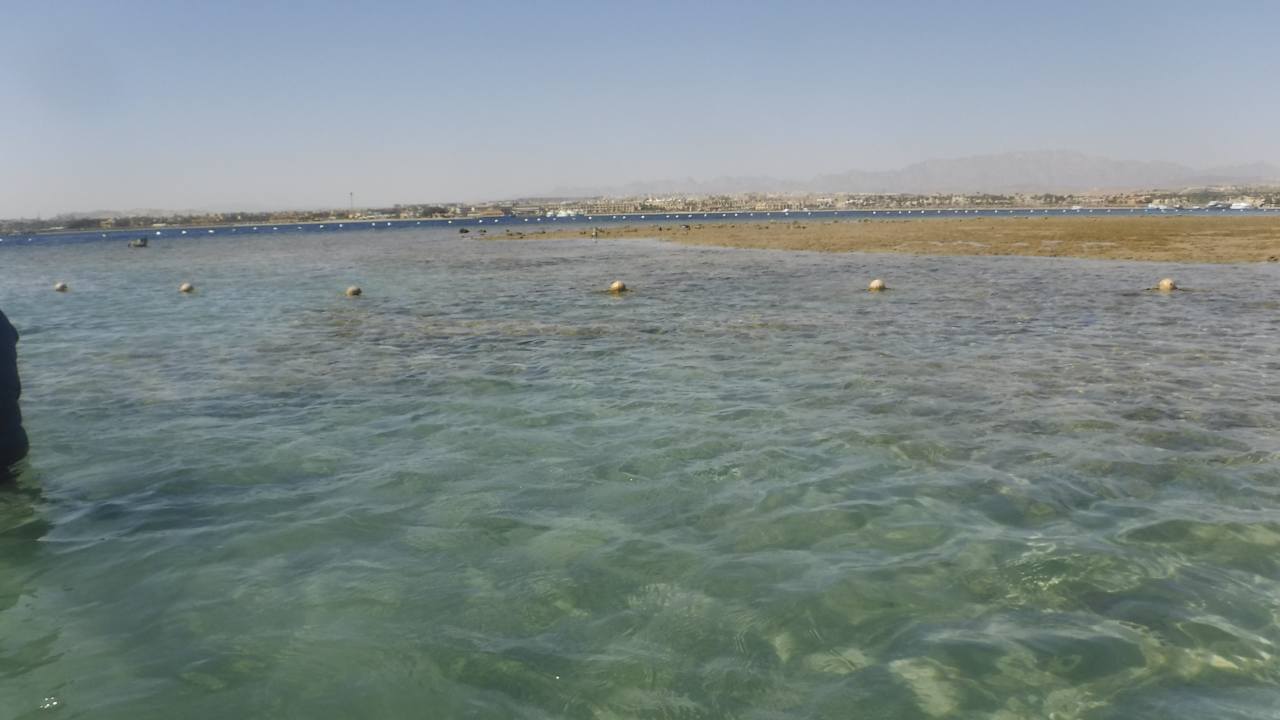 Strand Makadi Spa - Adults only