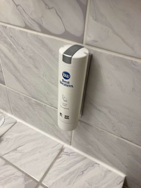 Zimmer Best Western Parkhotel Brehna - Halle