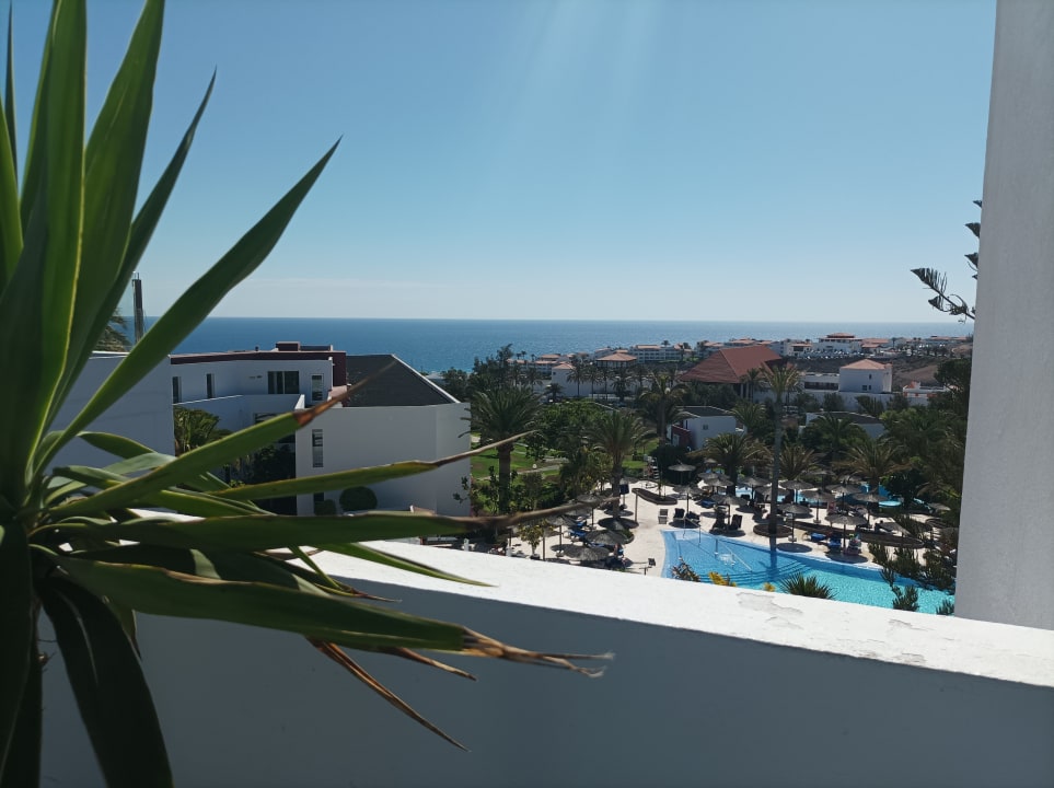 Ausblick allsun App.-Hotel Esquinzo Beach