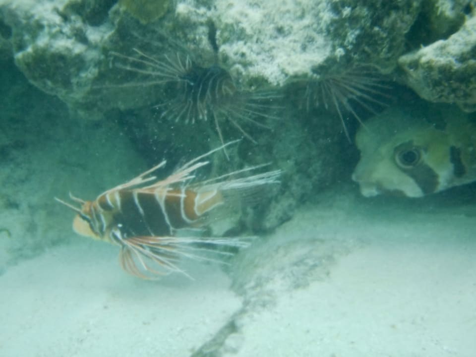 Sport & Freizeit Adaaran Select Hudhuran Fushi - Premium All Inclusive