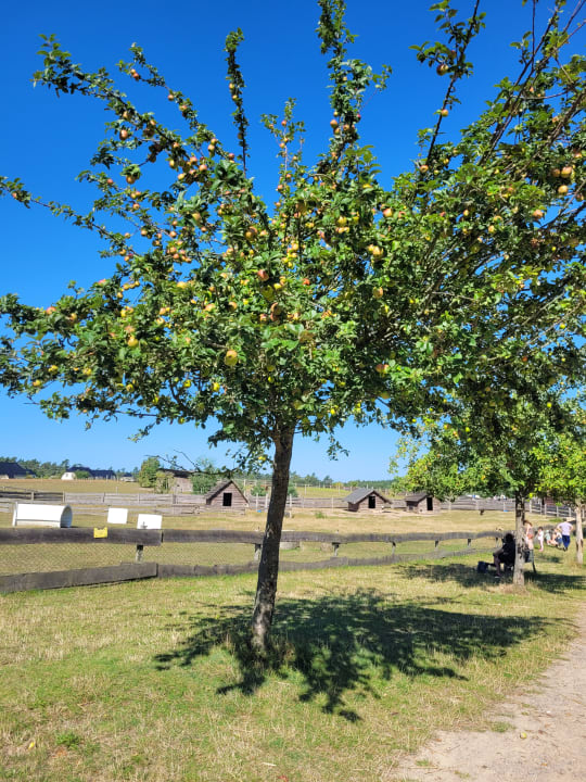 Gartenanlage Van der Valk Resort Linstow
