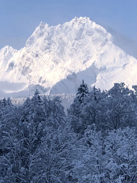 Ausblick Alm- & Wellnesshotel Alpenhof