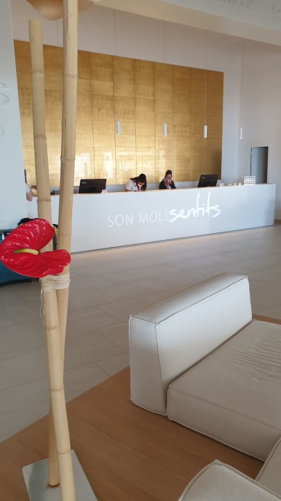 Lobby Son Moll Sentits Hotel & Spa
