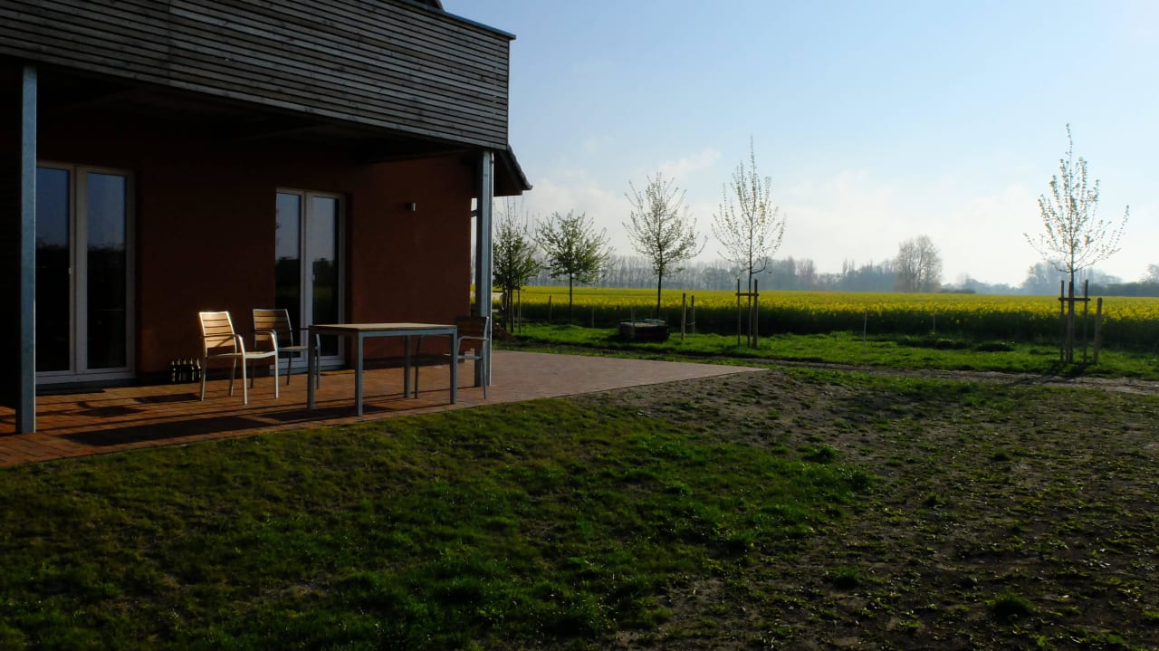 Rapsfeld in voller Blüte Rügen-Ferienhof
