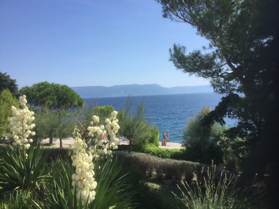 Ausblick Valamar Sanfior Hotel & Casa