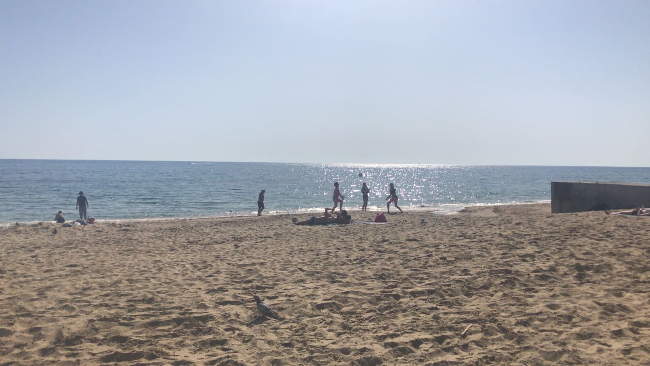 Strand Hotel Kleopatra Royal Palm